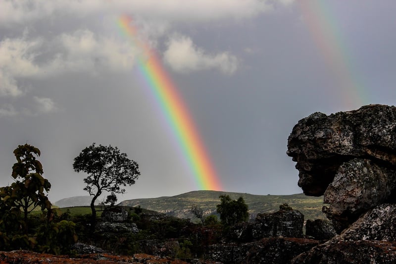 Ecological Landscapes