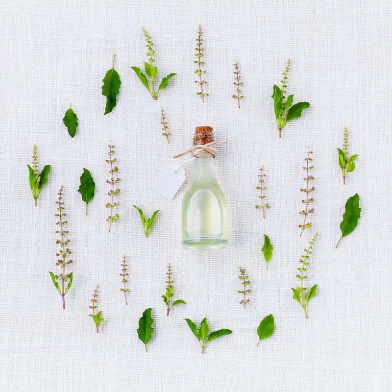 Herbal Studies